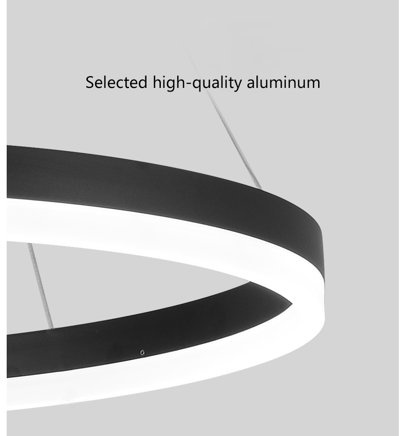 Modern nordic minimalist Restaurant living room decoration Aluminum Acrylic Circle Ring LED Chandelier