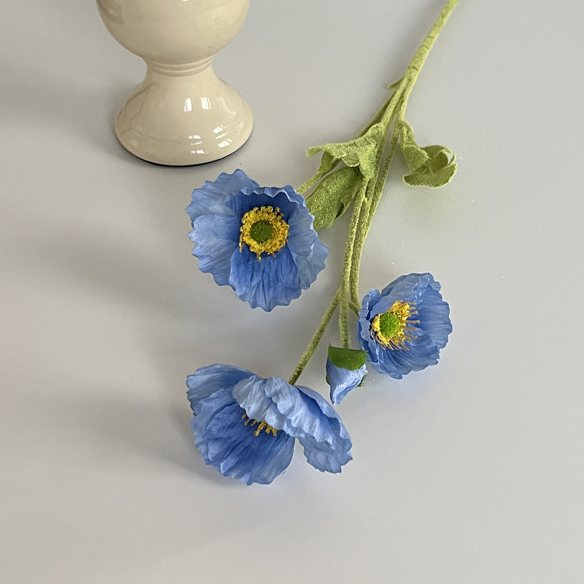 Orchidea dell'anima di ghiaccio