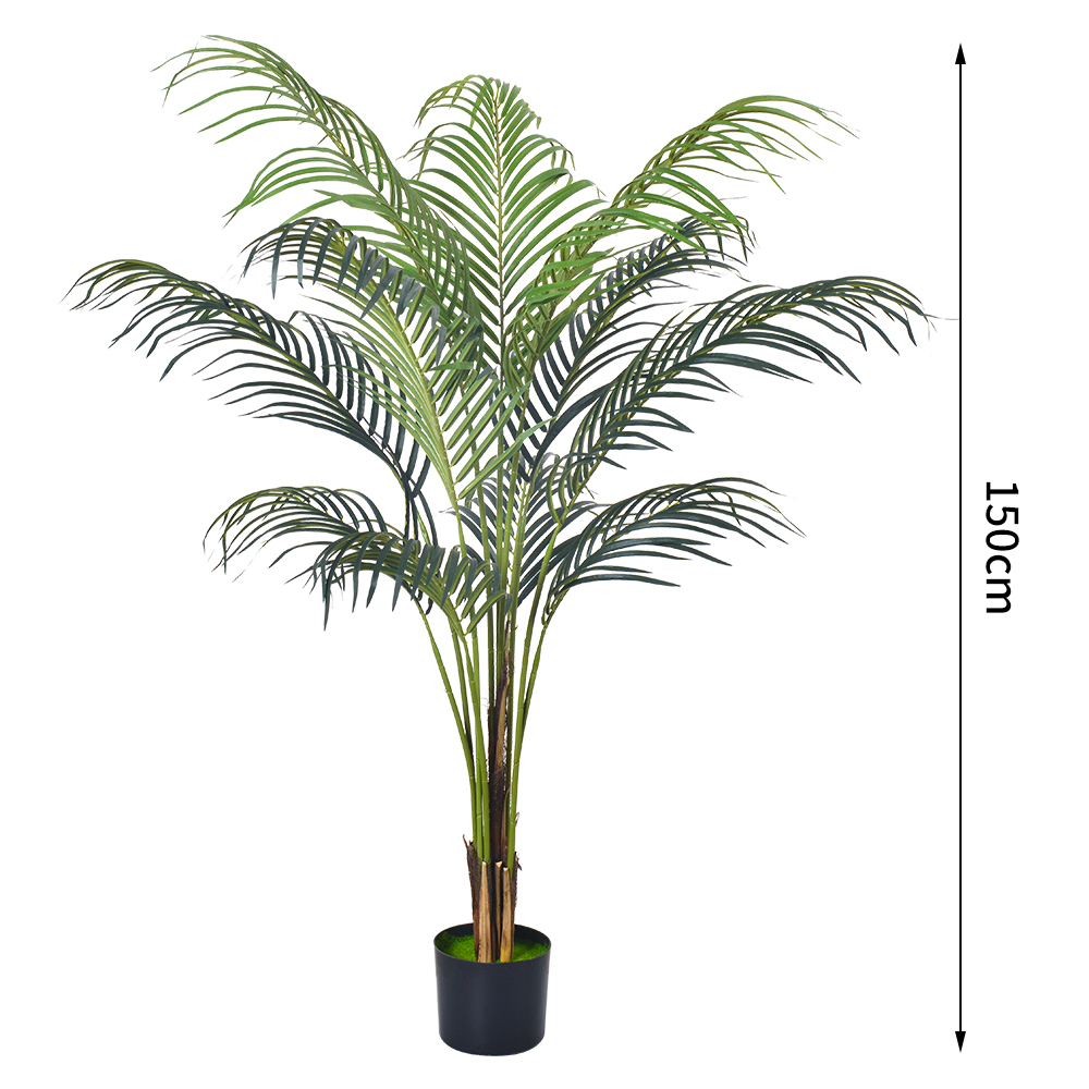 Phoenix Palm-A de 5 pieds/150 cm