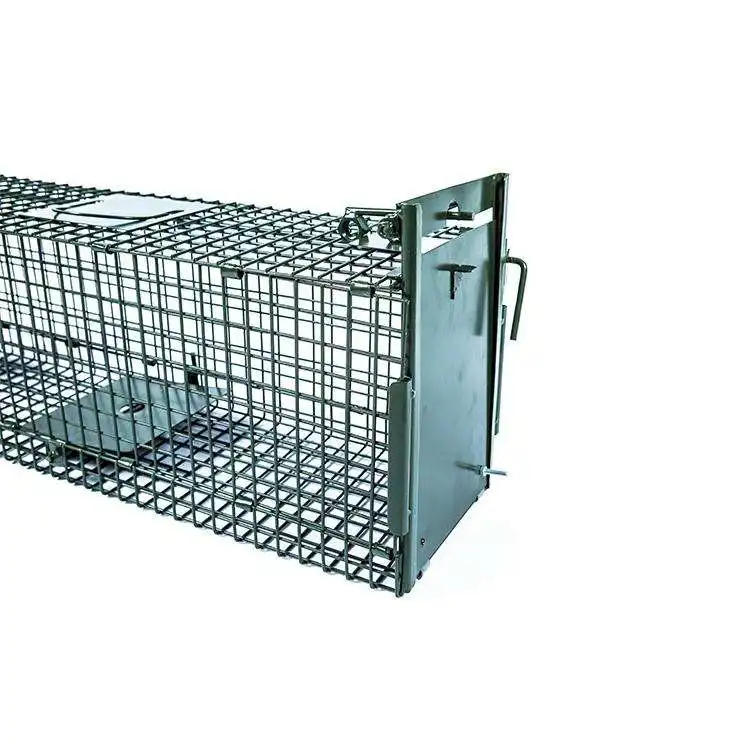 Armadilha de rato humana reutilizável, gaiola de metal para ratos, repelente sólido para captura e liberação de ratos, armadilha para ratos e pássaros