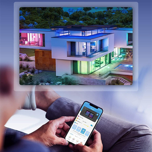 WiFiストリップライトAlexaGoogleホームサポートスマートRGB5m 10m 20mLEDストリップリモートアプリコントロール音楽同期12VLEDストリップライト - Product Image 4