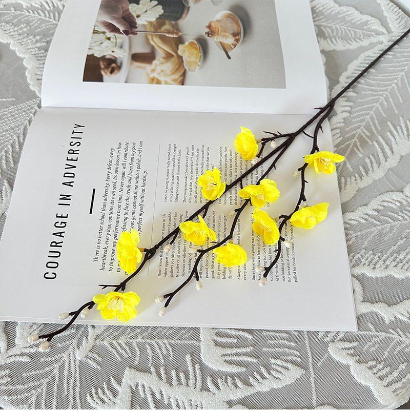 Mini Wintersweet, Jaune