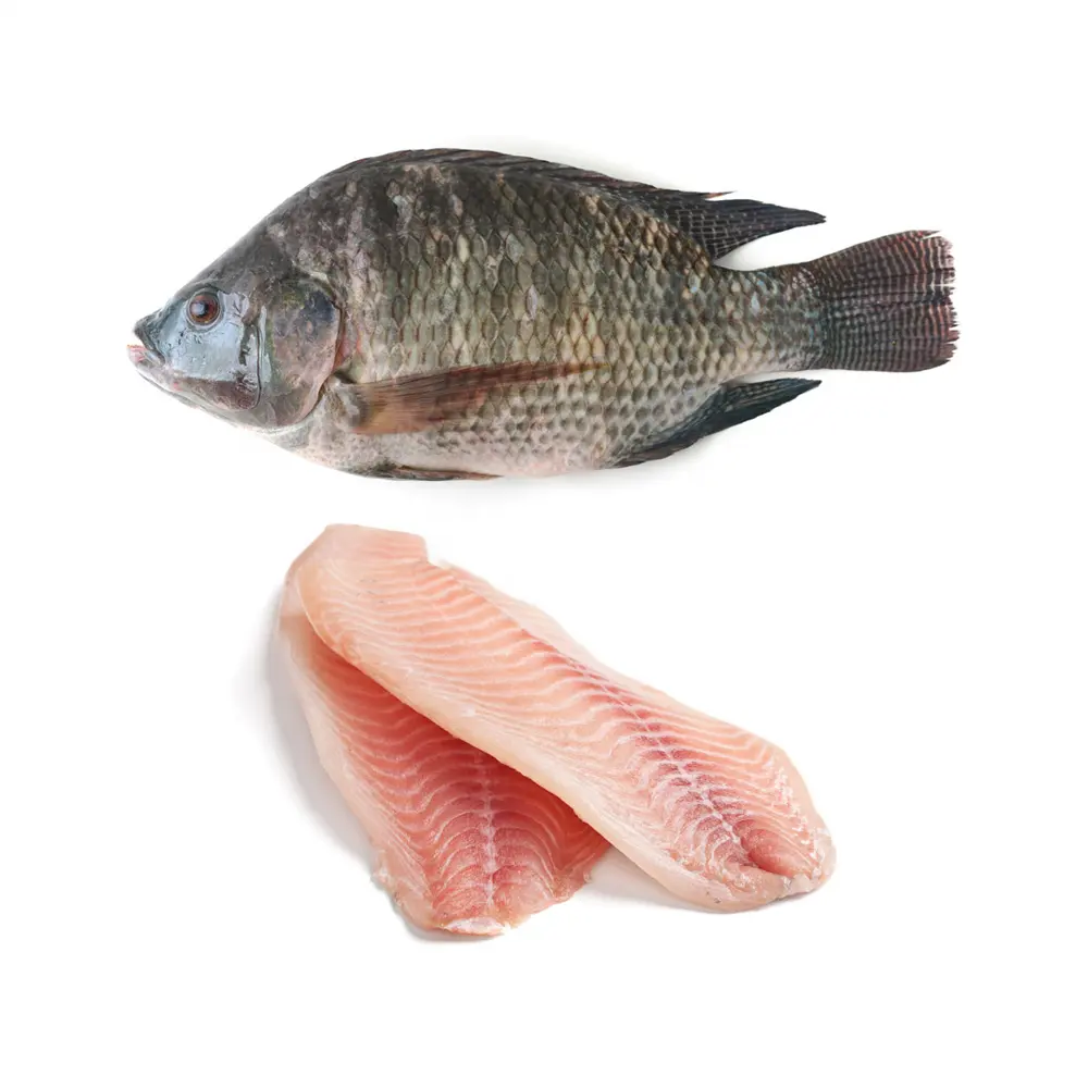 Aprobado por HACCP, filete de tilapia, pescado congelado sin piel y sin hueso, productos de filete IQF