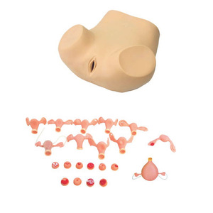 Advanced Gynecological Examination Training Simulator Uterine <strong>Palpation</strong> Examination Medical Science Model for Teaching - Product Image 6