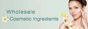 สารสกัดจากเปลือกสนโคเชอร์ & ฮาลาล/ไพนัสเตอร์ aiton proanthocyanidins - Product Image 6