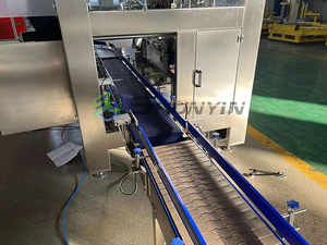 Top <strong>Load</strong> <strong>Robotic</strong> Case Packer with Vision Positioning <strong>System</strong> and Auto Correction Function - Product Image 5