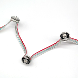 Christmas Festival Programmable 20mm <strong>Point</strong> <strong>Light</strong> DC12V Led <strong>Pixel</strong> <strong>Light</strong> Rgb Smd5050 Landscape Decoration IP66 - Product Image 3