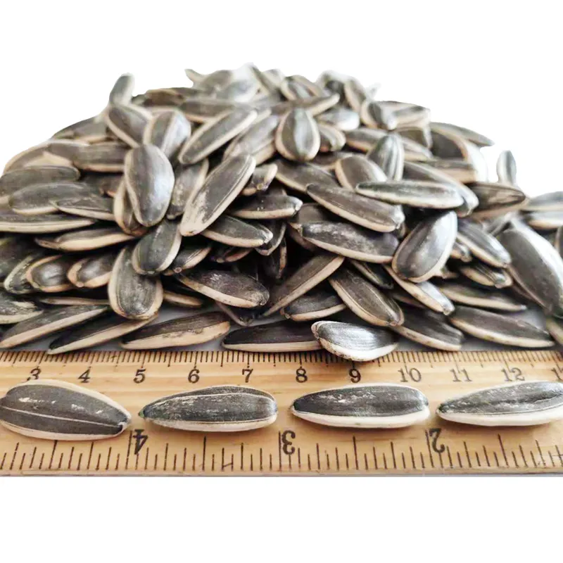 Inner Mongolia Wholesale Chinese Non GMO High Quality Good Price Organic Raw 5009 Sunflower Kernels Seeds
