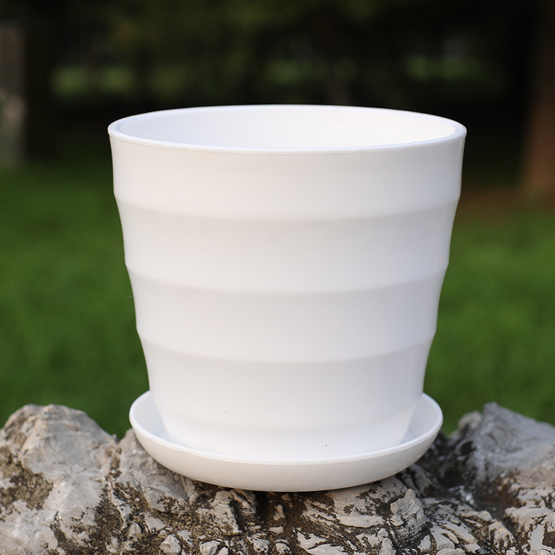 Thickened white tray