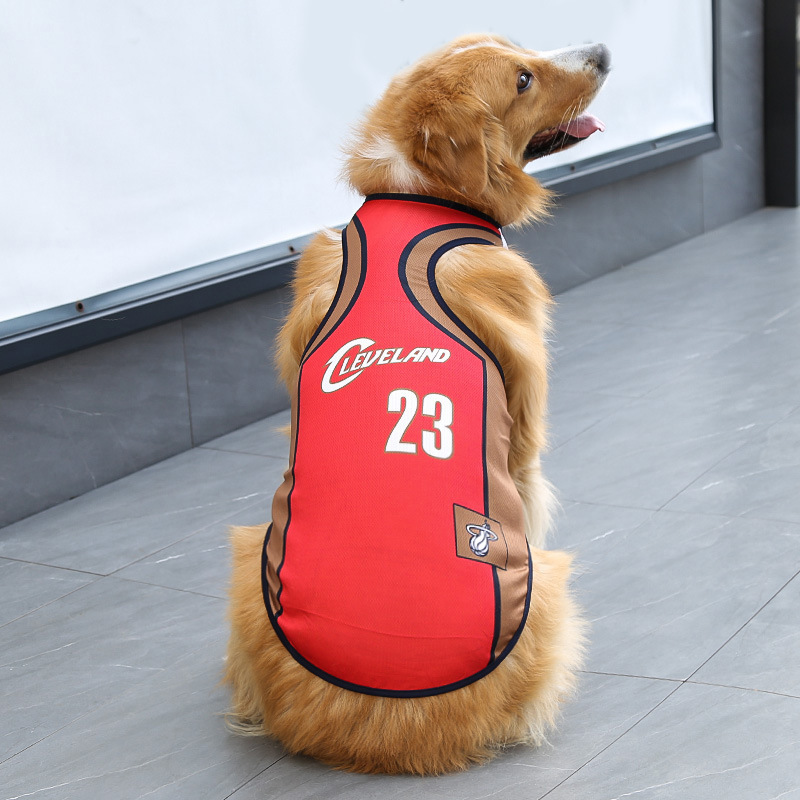 Cavaliers n°23 marron rouge