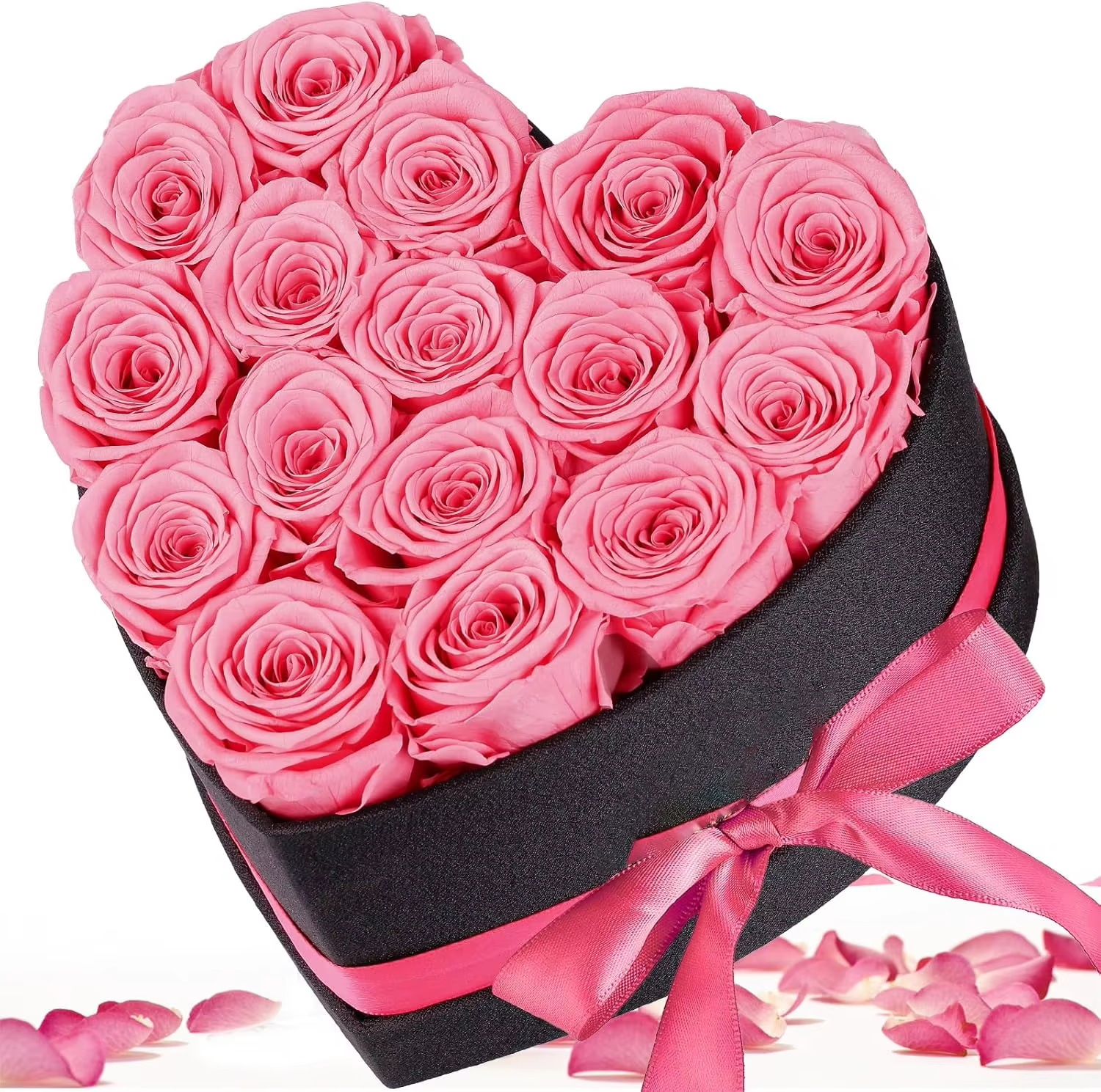 Rose-16 Rsoes