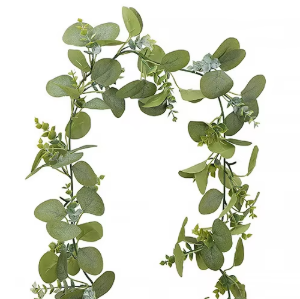 Eucalipto verde tipo ratán I (36 unidades)