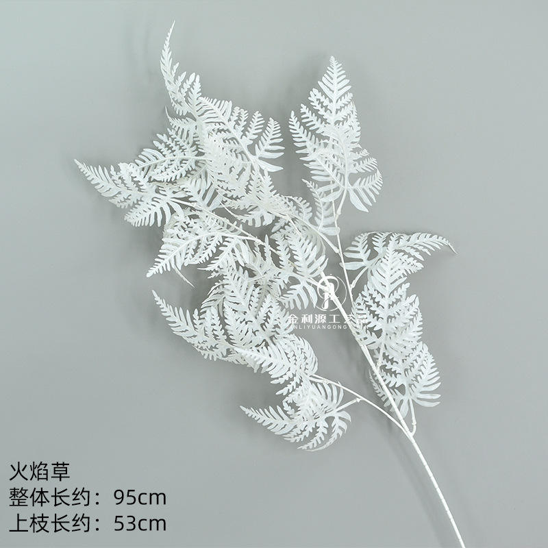 L'herbe enflammé blanc