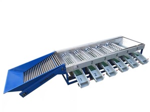 Macchina per smistare le dimensioni della frutta fornitore di macchine per la selezione di datteri a risparmio energetico multifunzione - Product Image 5