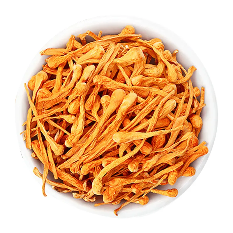 Cordyceps fungo fungo di alta qualità Cordyceps Militaris naturale essiccato all'aria erbe Cordyceps sinensis fiore cibo biologico