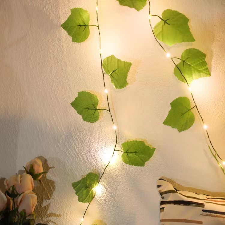 grape leaves