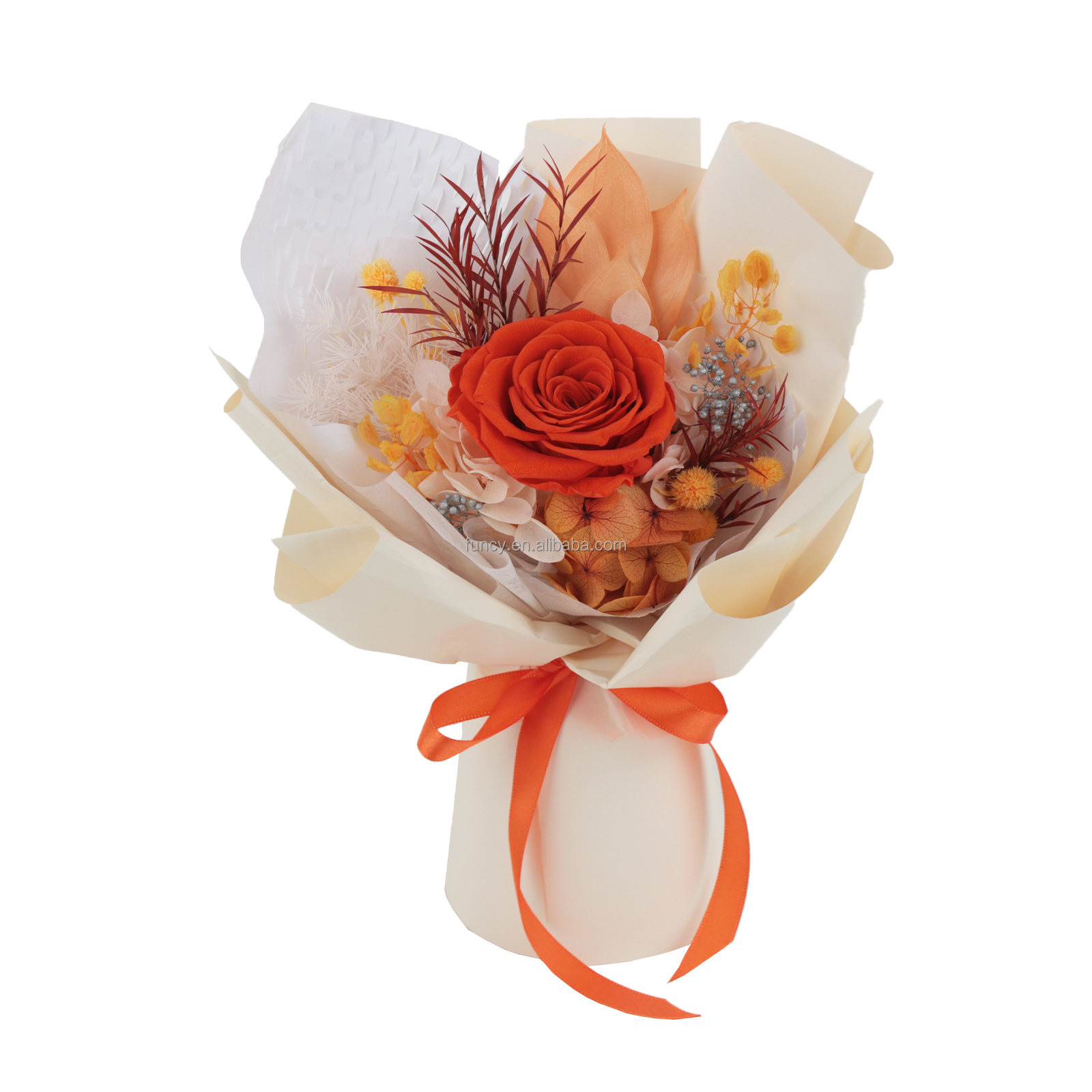 Orange 2ème année