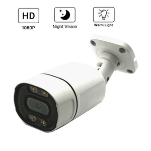 Metal su geçirmez kamera 3MP renkli IP kamera IP66 tam renkli gece görüş ağ kamerası ses ile - Product Image 6
