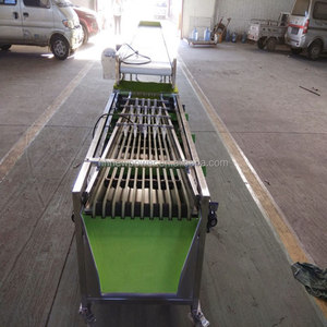 Saloni tipo orbitale macchina di smistamento automatico di frutta mirtillo fragola lampone graduatrice in vendita