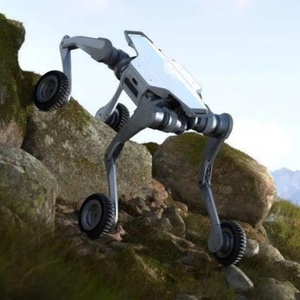 AI funzioni di riconoscimento visivo attraverso la programmazione basata sul cane Robot lampone - Product Image 3