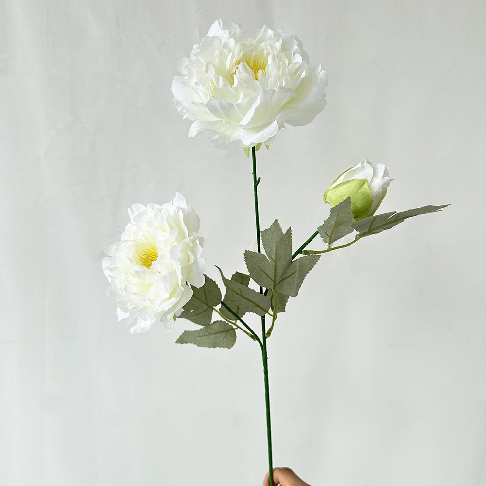 3 peonías de primavera y otoño no.5, blanco