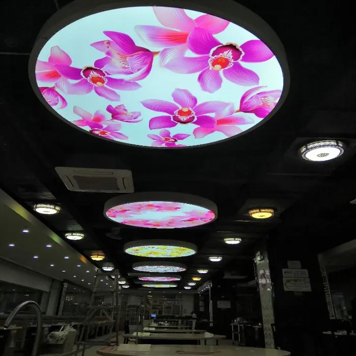 تصميم الزهور سقف الصين قاعة سقف البوب تصميم