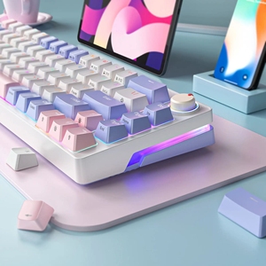 65% Teclado mecánico 68 teclas intercambiables en caliente Anti-ghosting Mini RGB Gaming Teclado mecánico con cable Teclado para computadora - Product Image 6