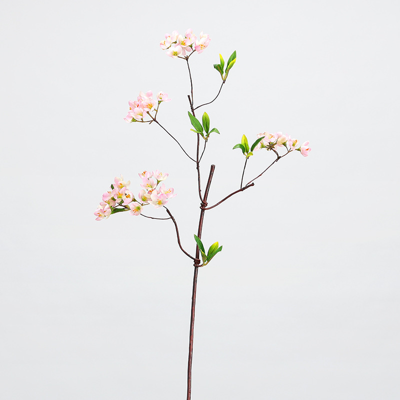 Ramo di fiori di Mountainberry - rosa