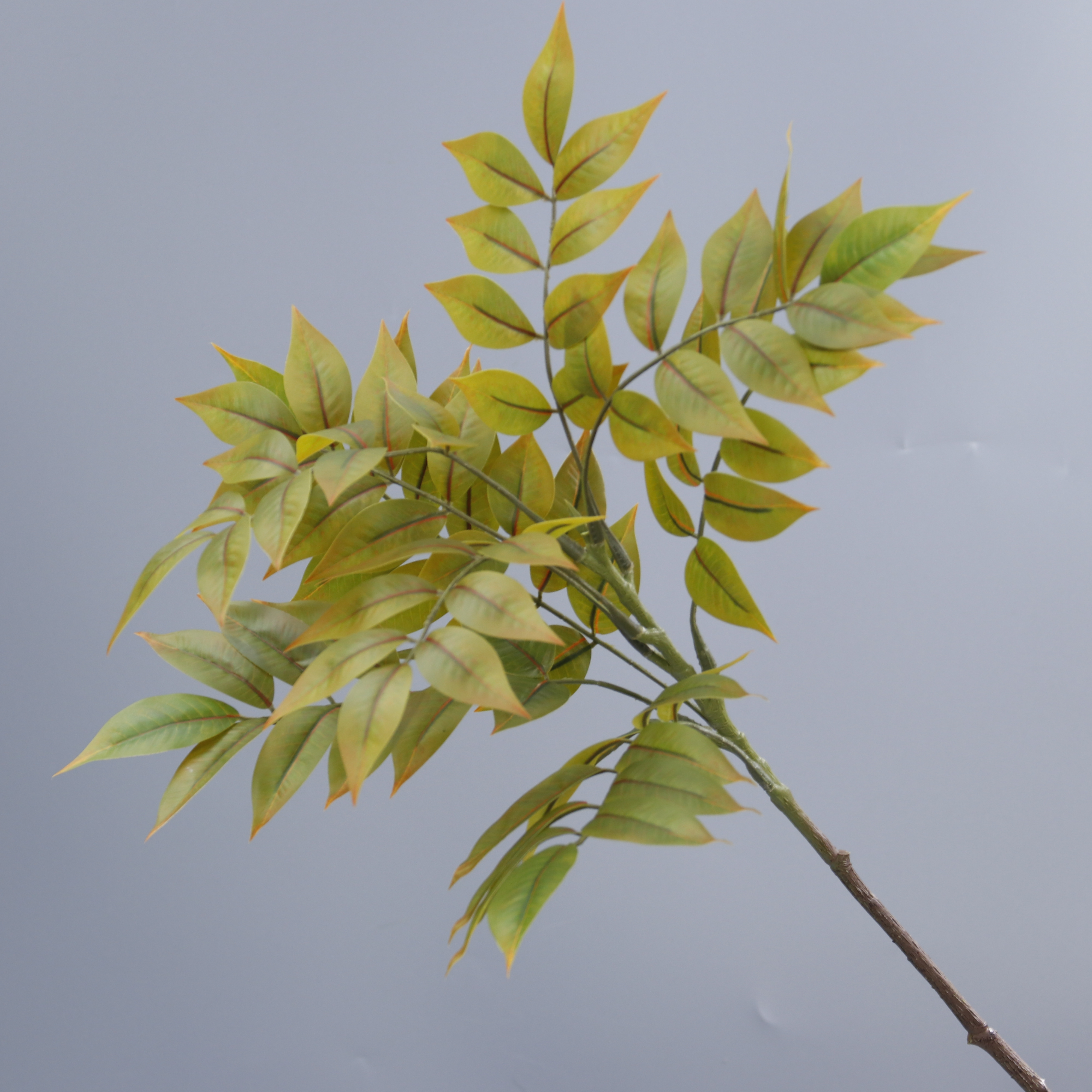 9-head Autumn-colored Single-stem