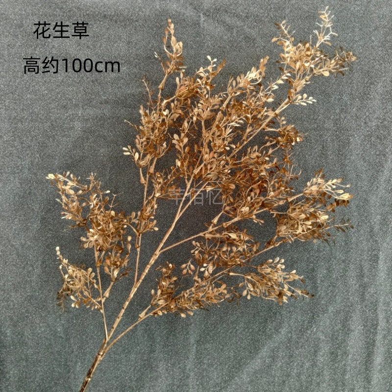 Peanut grass
