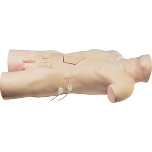 GD/LV22 General Doctor Advanced Surgery Training Model for Surgical Practice Skills - Product Image 1