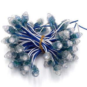 Hot Selling Dc12v 12mm Ip68 Waterproof <strong>Led</strong> Holiday Lights <strong>Led</strong> Single Color <strong>Pixel</strong> <strong>Node</strong> <strong>Led</strong> <strong>Module</strong> <strong>Led</strong> Light <strong>String</strong> - Product Image 1