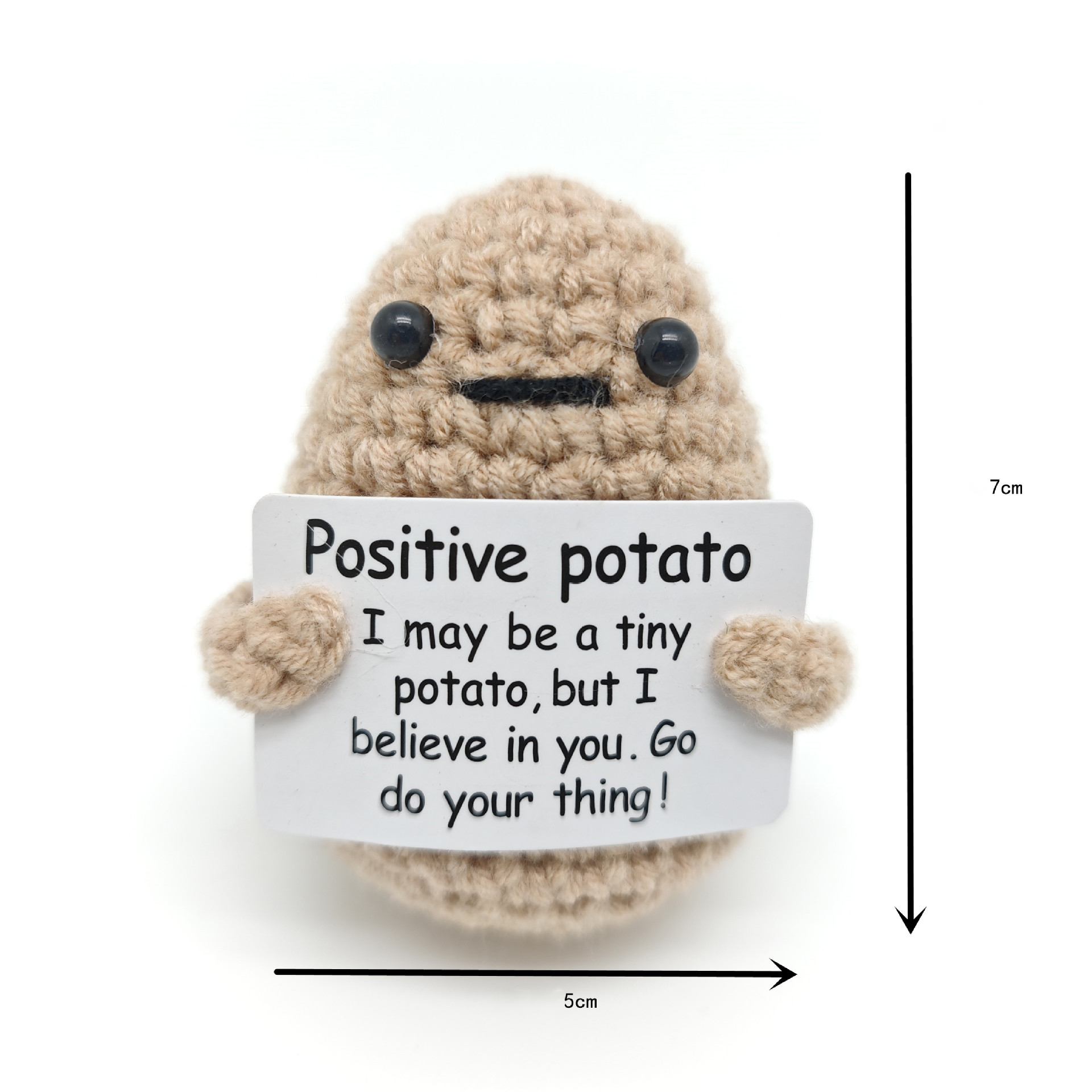 17 Pomme de terre (Positif)