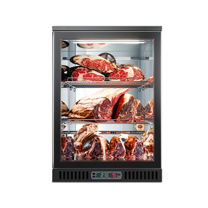 Đặc biệt cung cấp nhỏ gọn di động thịt bò bít tết khô lão hóa tủ lạnh cho Sushi cửa hàng thiết bị điện lạnh - Product Image 1
