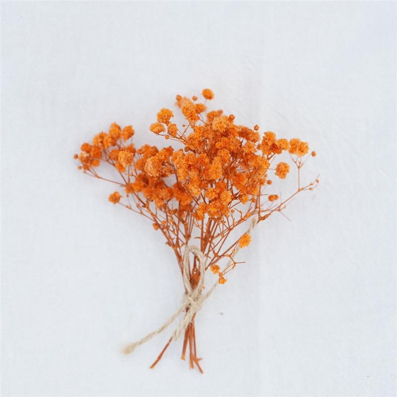 Ramo Naranja de Paniculata para Bebé32 (Talla Aproximada 8)