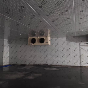 Kho lạnh trái cây tùy chỉnh cho vườn cây/bán buôn/siêu thị: kế hoạch nhỏ đến lớn & thiết kế tuân thủ - Product Image 4