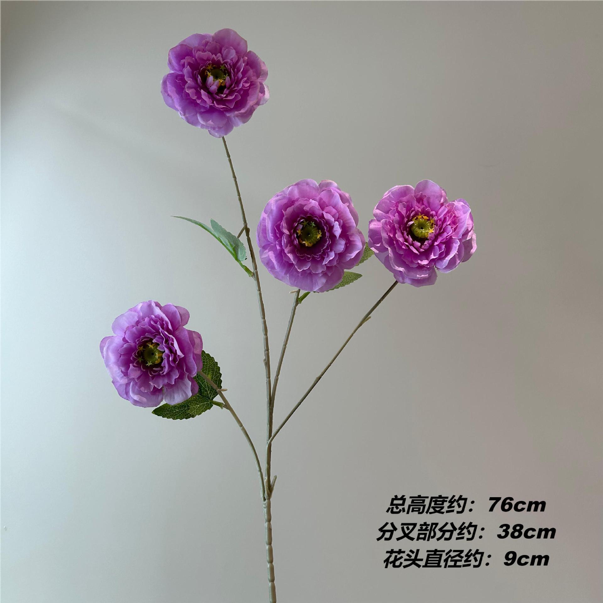 Mz lu lian