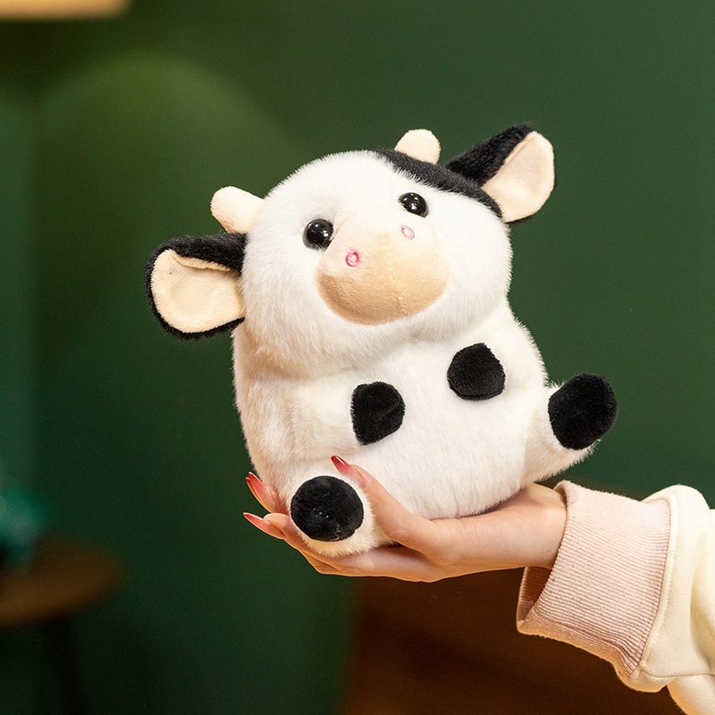 daily cow
