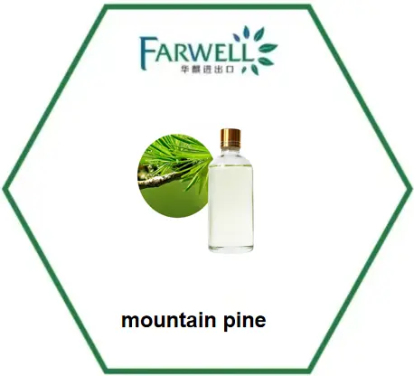 Farwell oil of mountain pine/ pine needles oil CAS No.8000-26-8