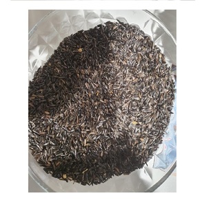 High Quality and Hot Seller Ethiopian Niger Seed for Wholesale - Product Image 1