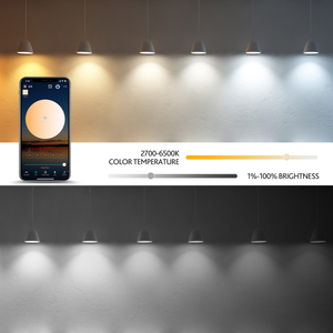Экономичный 4 шт. оптовая продажа A60 RGB CCT затемняемая светодиодная умная лампа E26 с приложением WiFi и голосовым пультом дистанционного управления для спальни - Product Image 2