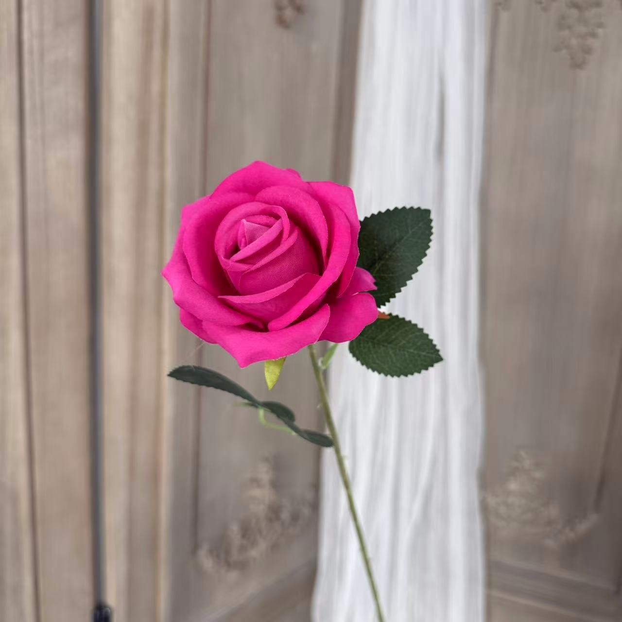 Rosa madeira
