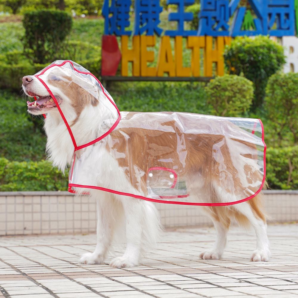 Pure transparent raincoat with big red edge
