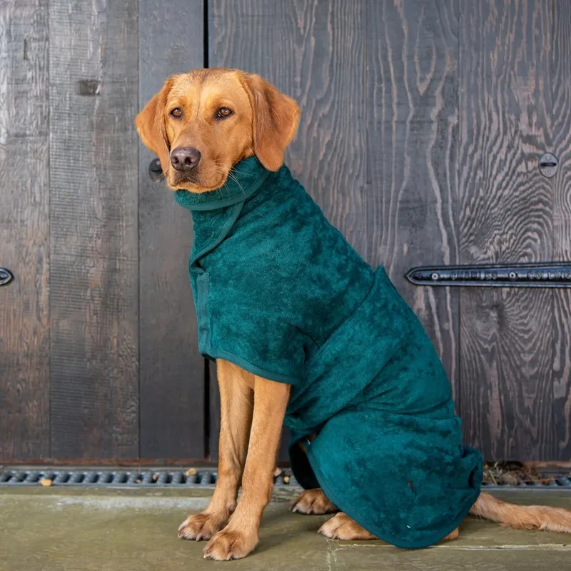 OEM ODM özelleştirilmiş Pet mikrofiber köpek bornoz kurutma Coat havlu özel bornoz çabuk kuruyan emici köpek bornoz köpekler için