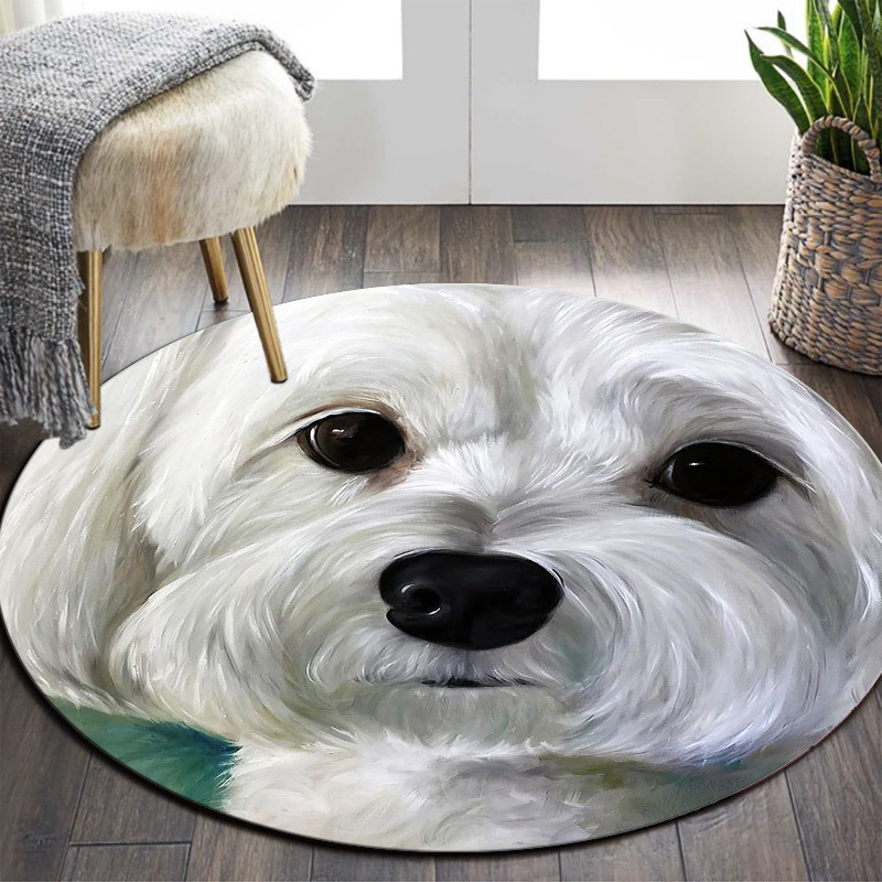 Perro