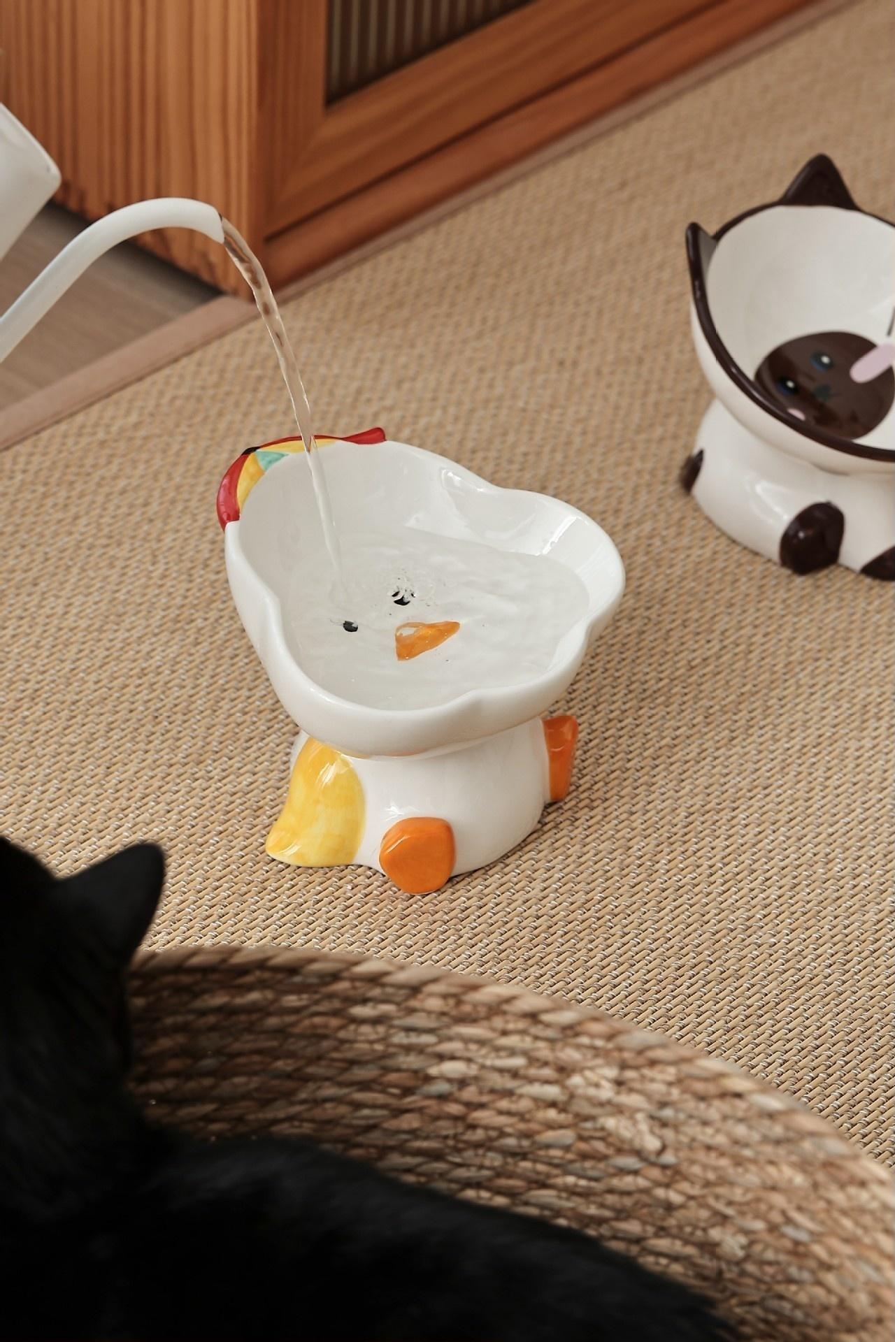 Canard arc-en-ciel blanc