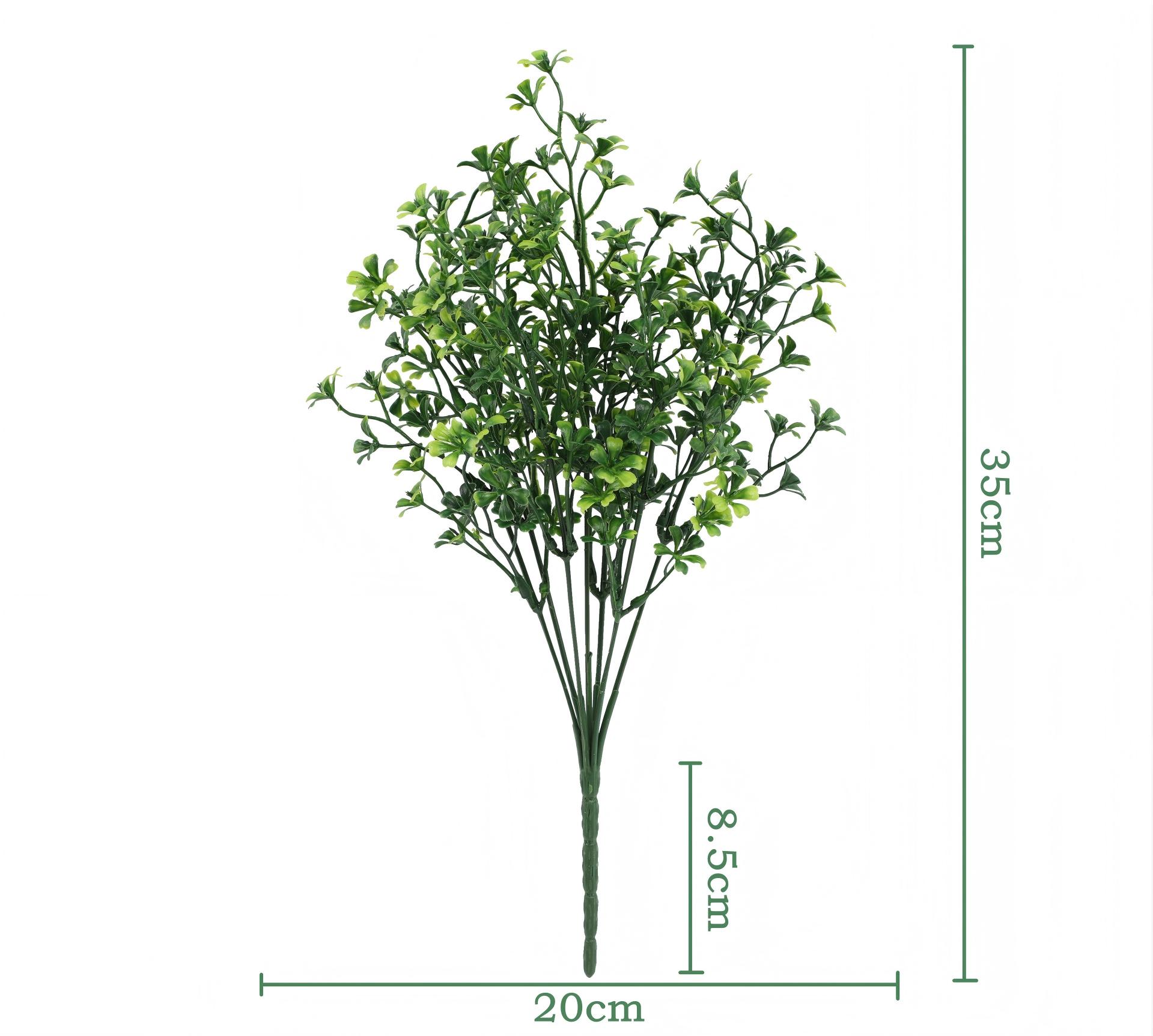 Green 6