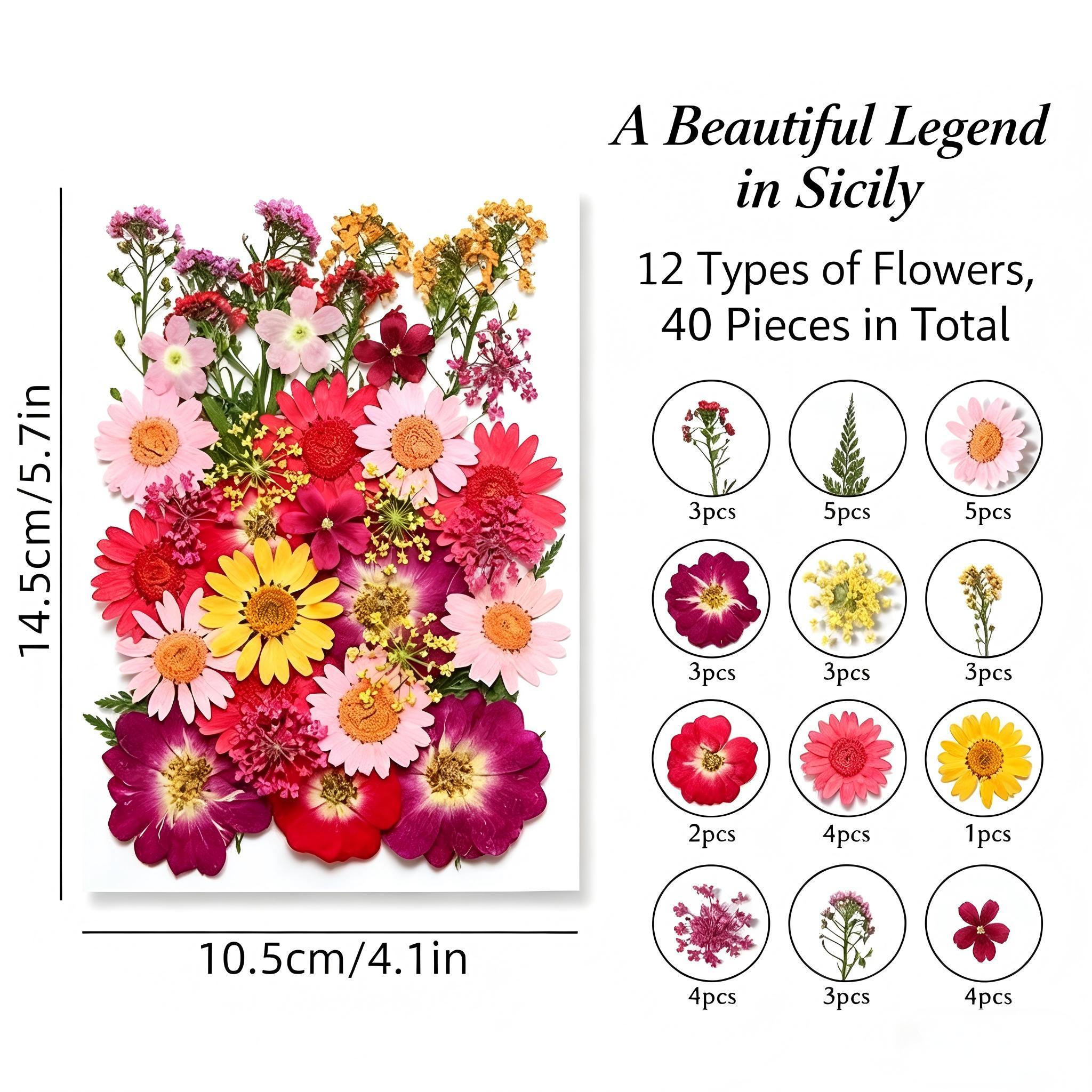 40 ชิ้น/ถุง, สีแดงและสีชมพู