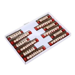 Bộ răng giả tháo lắp hoàn chỉnh Heraeus, mão răng composite nhựa màu ba lớp - Product Image 2