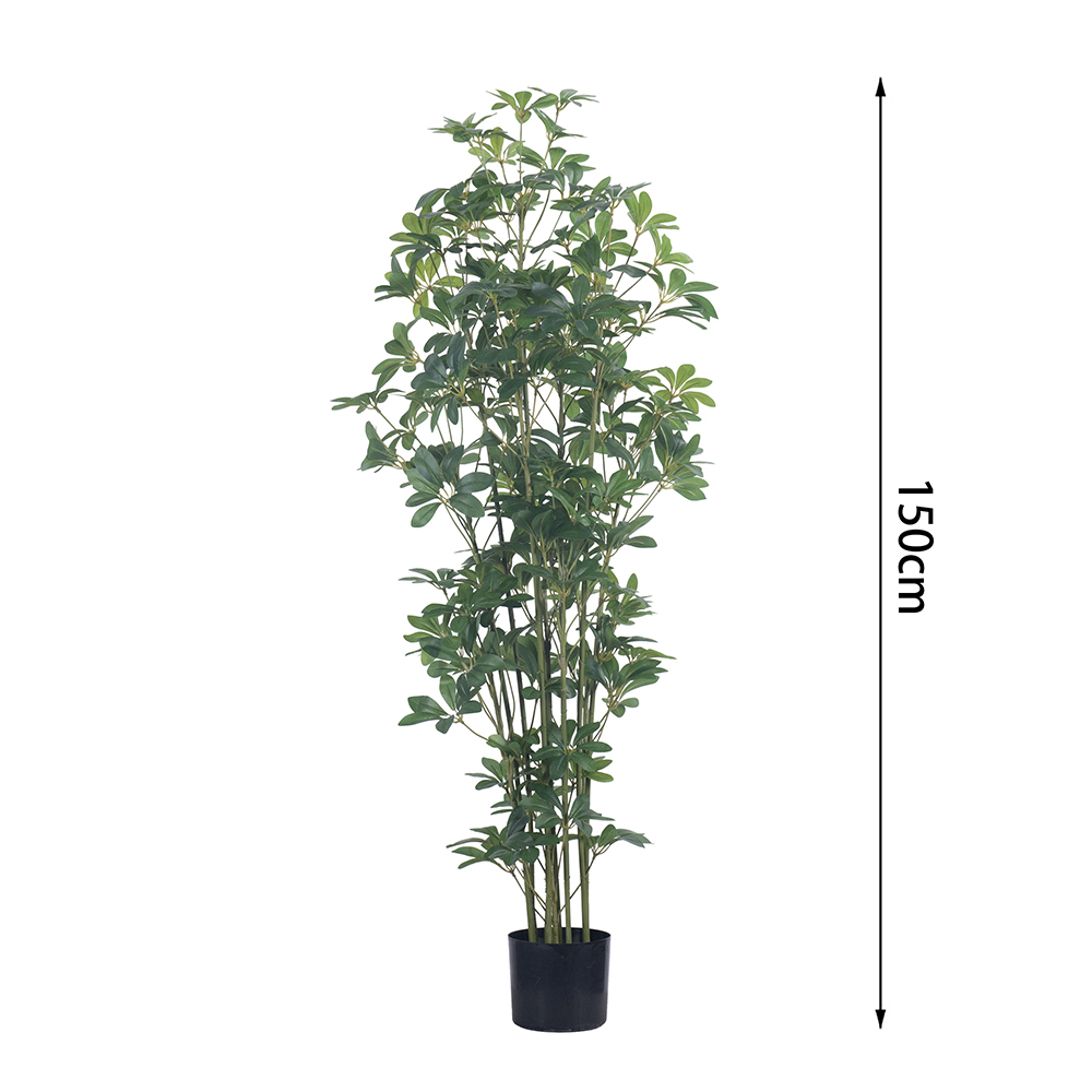 Árbol Schefflera de 150 cm (5 pies) - Modelo F